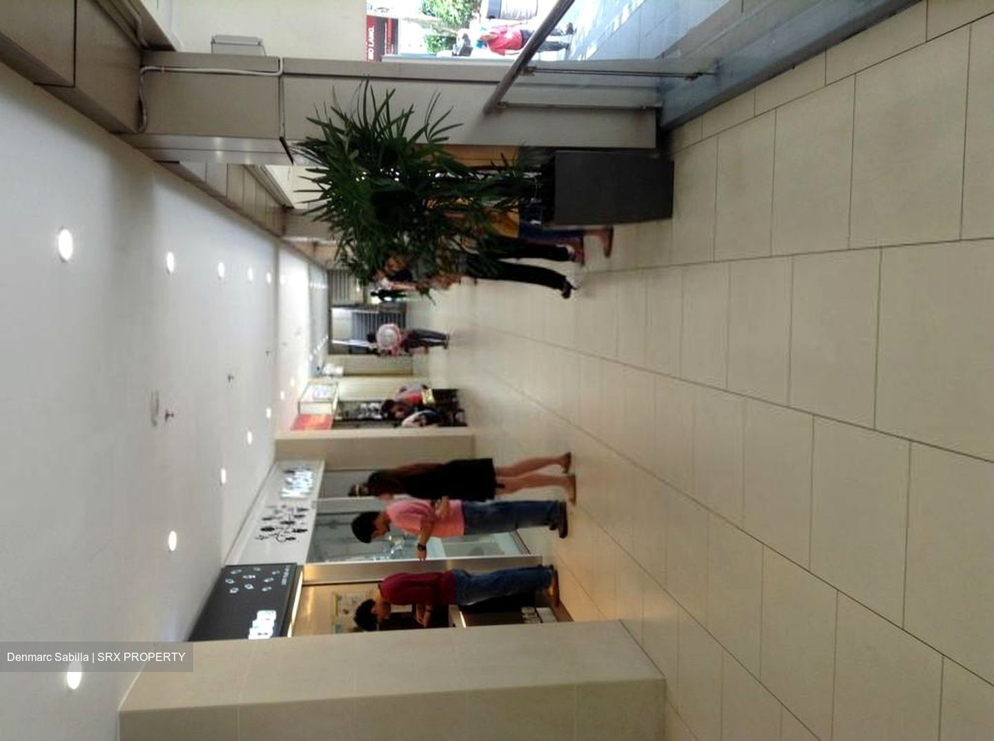 Lucky Plaza (D9), Shop House #455391831